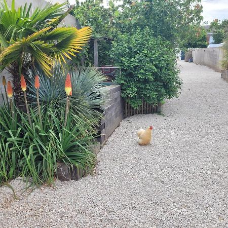 Angers Green Lodge - Cosy Studio Exterior foto